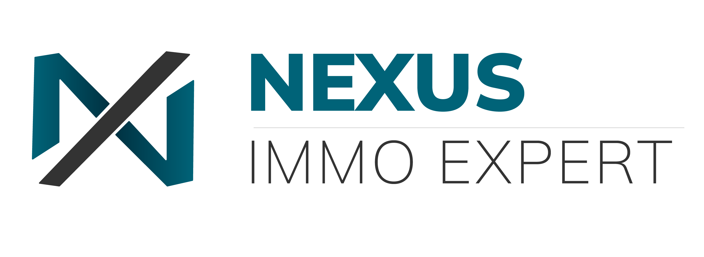 Nexus Immo Expert Logo